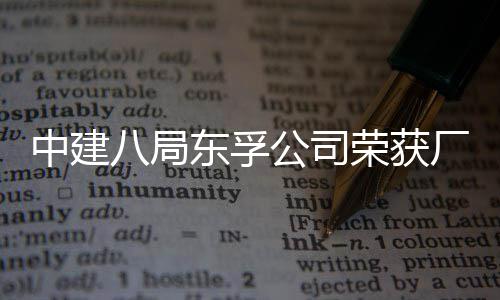 荣获荣誉民主东孚中建八局公司公开管理2项厂务